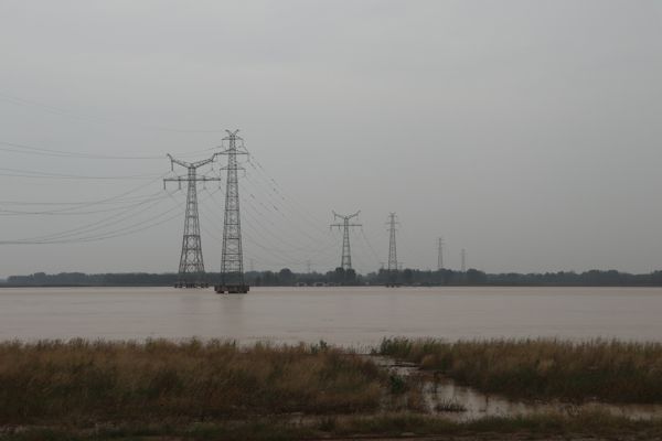 打卡郑州黄河滩地公园感受黄河的壮美奇观