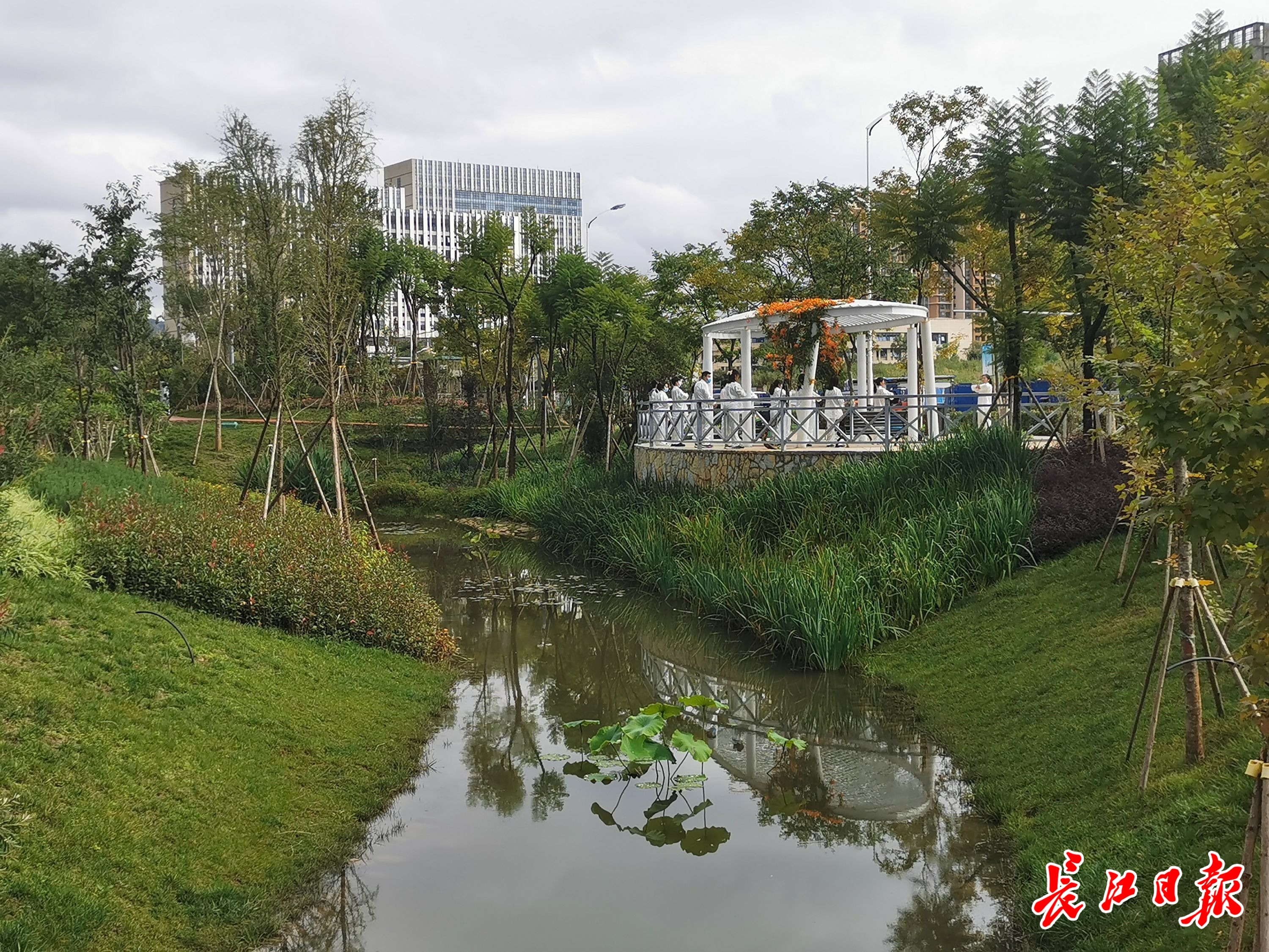 武汉昆明水生态文明建设有共性:建设海绵城市,提高生物多样性