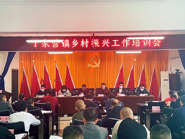 丹江口市丁家营镇"六措"并举促进乡村振兴