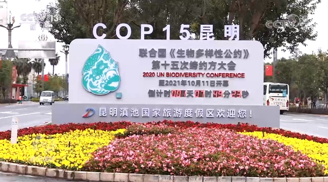 什么是生命共同体 dcc44bd7f596733e396393ad75fe1018.jpeg
