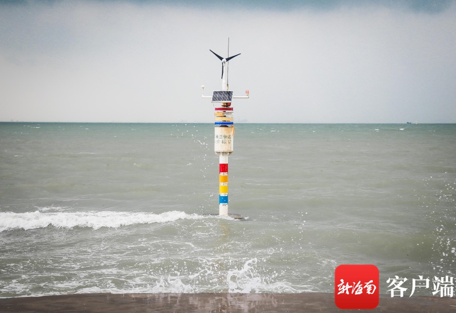 原创组图 潮位回落 海口西海岸沙滩“回来”啦荆楚网湖北日报网