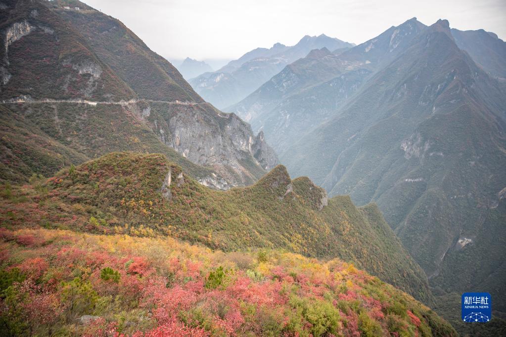 重庆巫溪漫山斑斓层林尽染