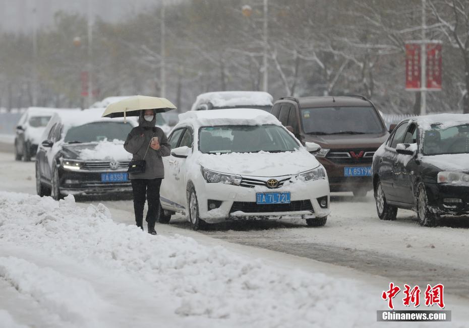 图为沈阳市民在雪天出行 于海洋 摄