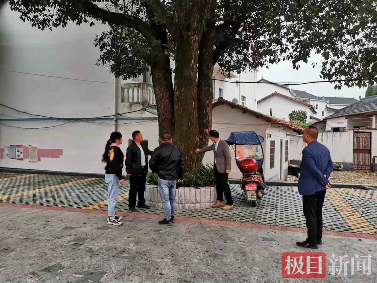 武汉新洲区徐古街纪检监察部门为近六万亩森林护航