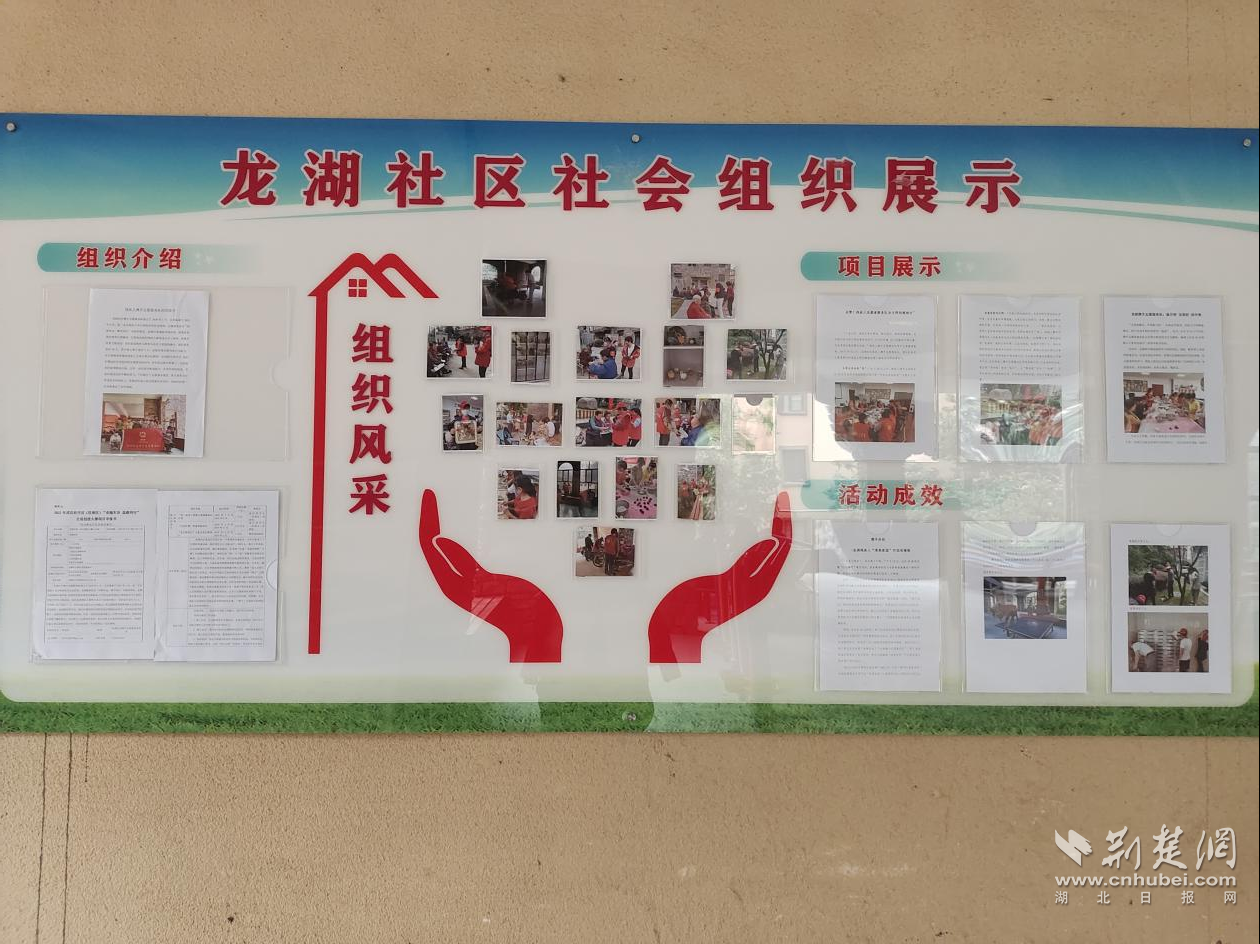 图片11.png.png
