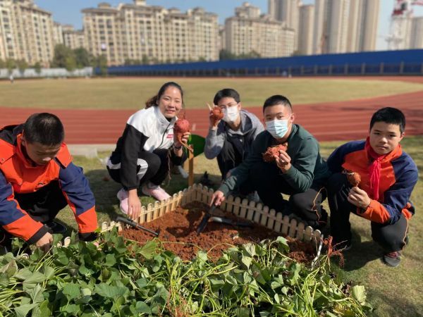 程静带着学生们在校园一角开辟出了一块菜地,取名"逸心种植园"