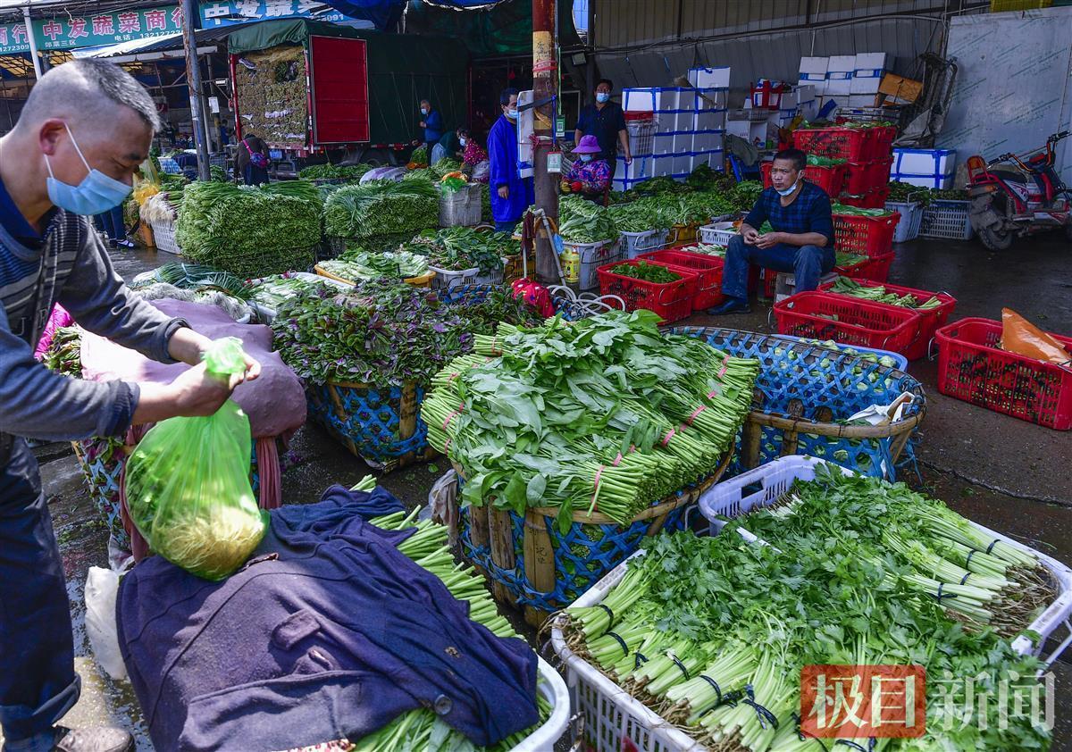 运输目录外蔬菜来汉免收通行费《鲜活农产品品种目录》适用范围