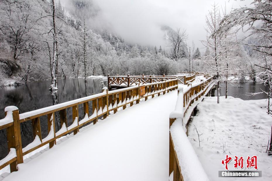 四川毕棚沟雪景美如仙境