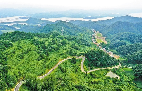 远眺龙王沟村民宿群(通讯员 范学锋 摄)