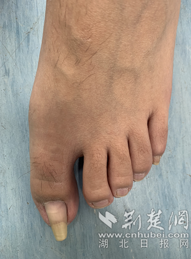 41_副本.png.png