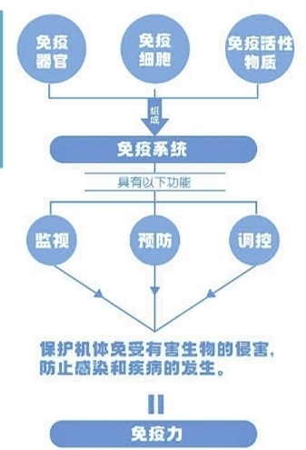 "总是皮肤过敏,一定是免疫力降低惹的祸!