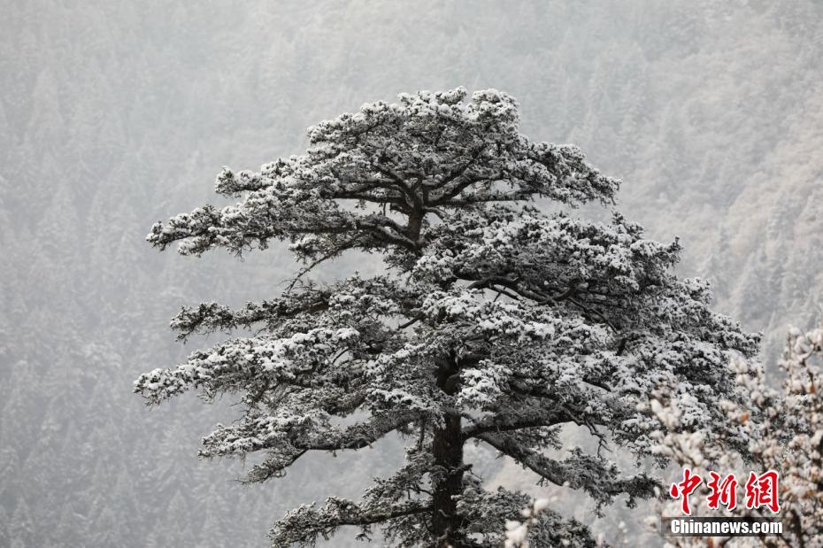 "陇右名山"变"雪山 飘渺似水墨丹青