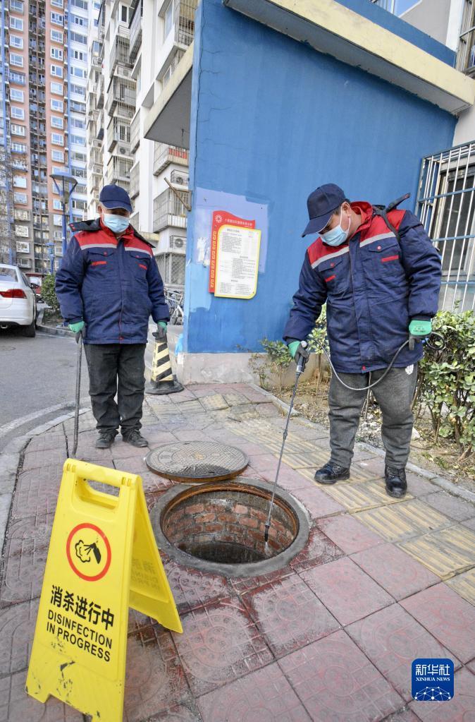北京：冬季家庭灭虫害(图1)