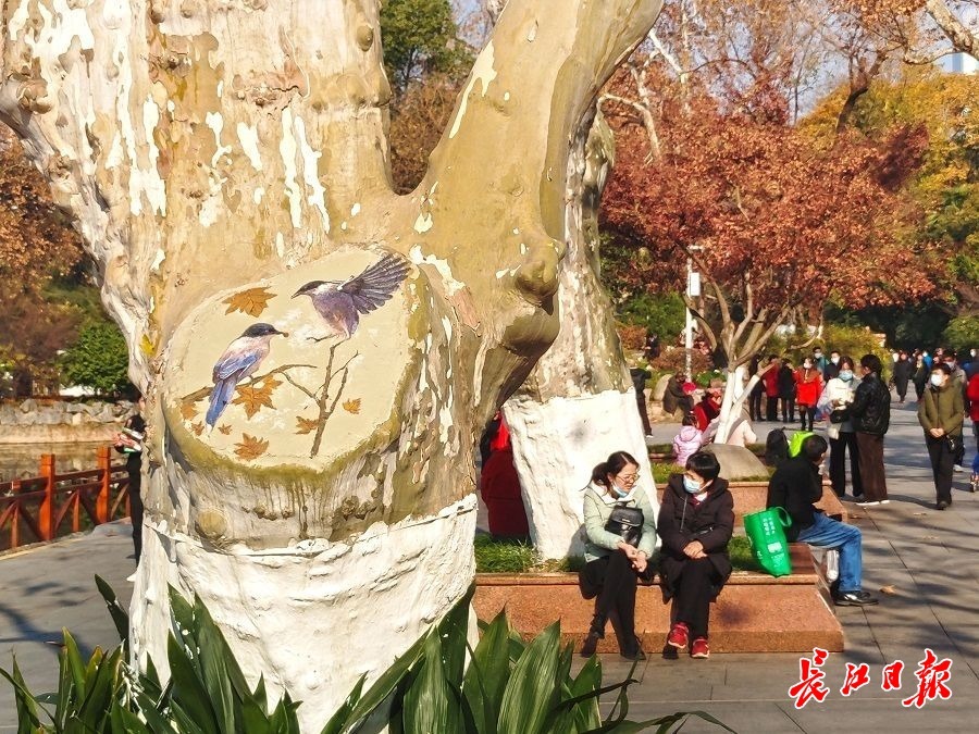 手绘树洞画扮靓中山公园