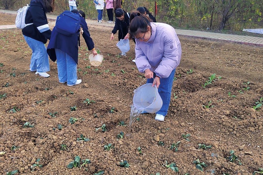 必修课!武汉一大学开出8亩地,让学生学种菜