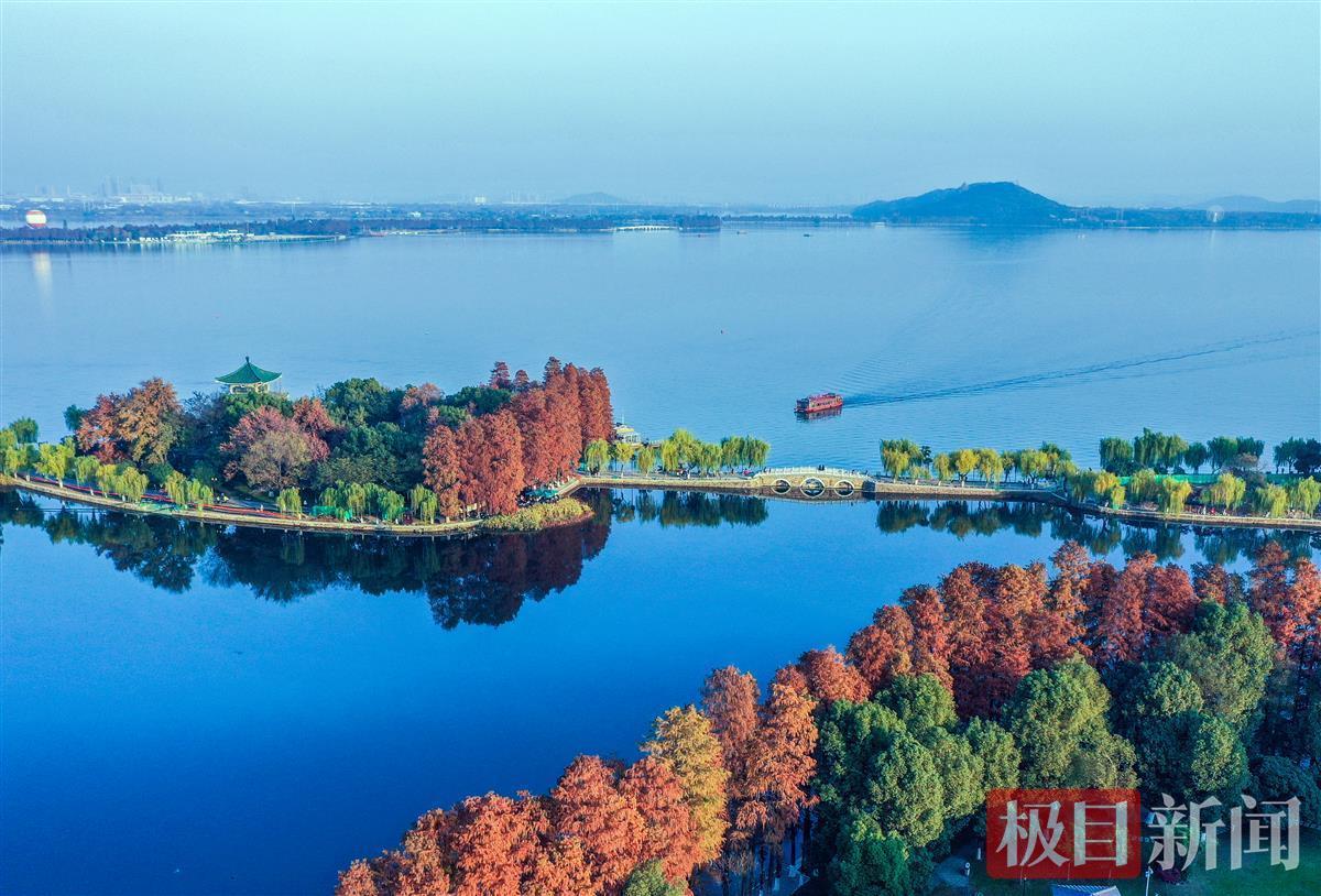 初冬时节,火红的水杉勾勒出武汉东湖怡人景色