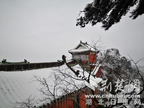图片6.jpg