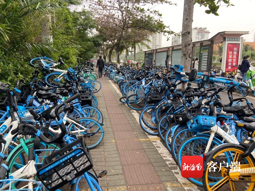 海口一人行道被共享单车扎堆挤占执法部门将尽快清理并约谈企业