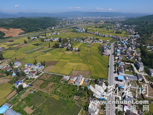 全国文明村--房县城关镇三海村.JPG
