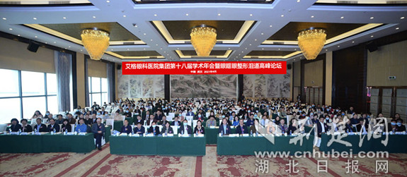 图14艾格眼科开展省级继教项目_副本.jpg
