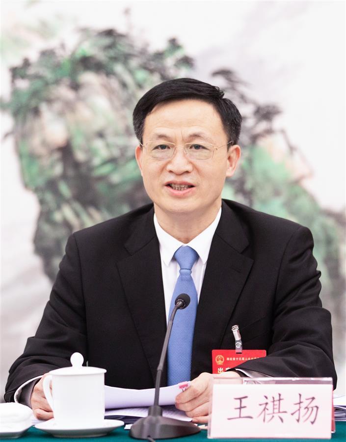省人大代表王祺扬坚持党建引领推进乡村全面振兴