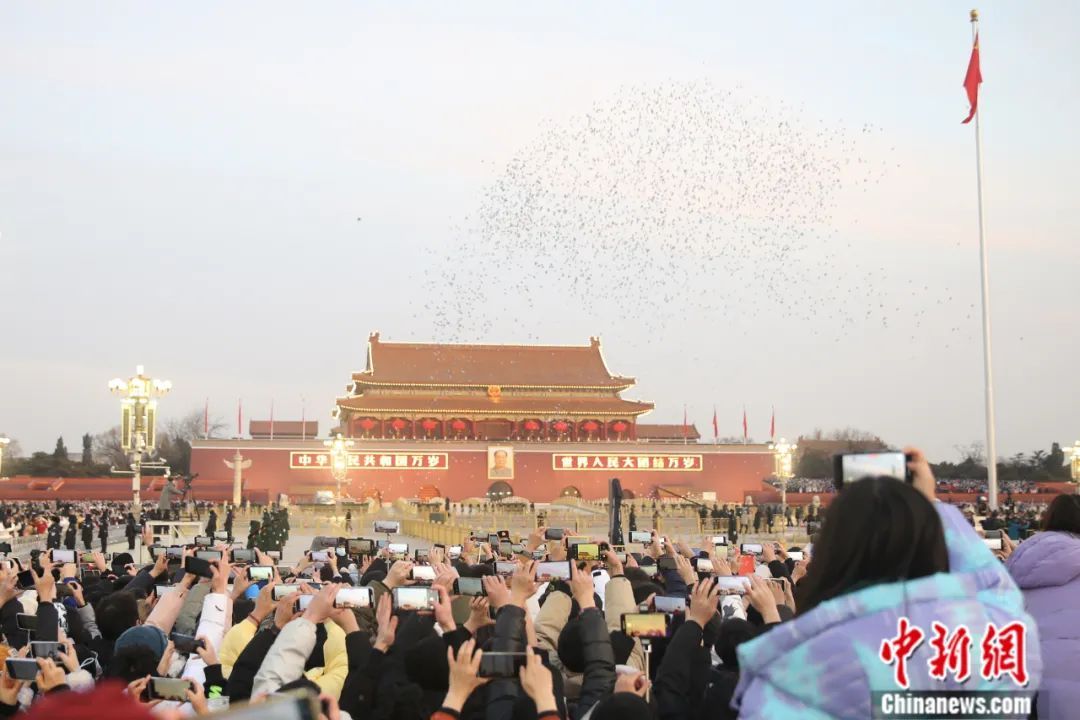 在朝阳的辉映下,伴随着五星红旗的冉冉升起,万羽和平鸽在金碧辉煌的