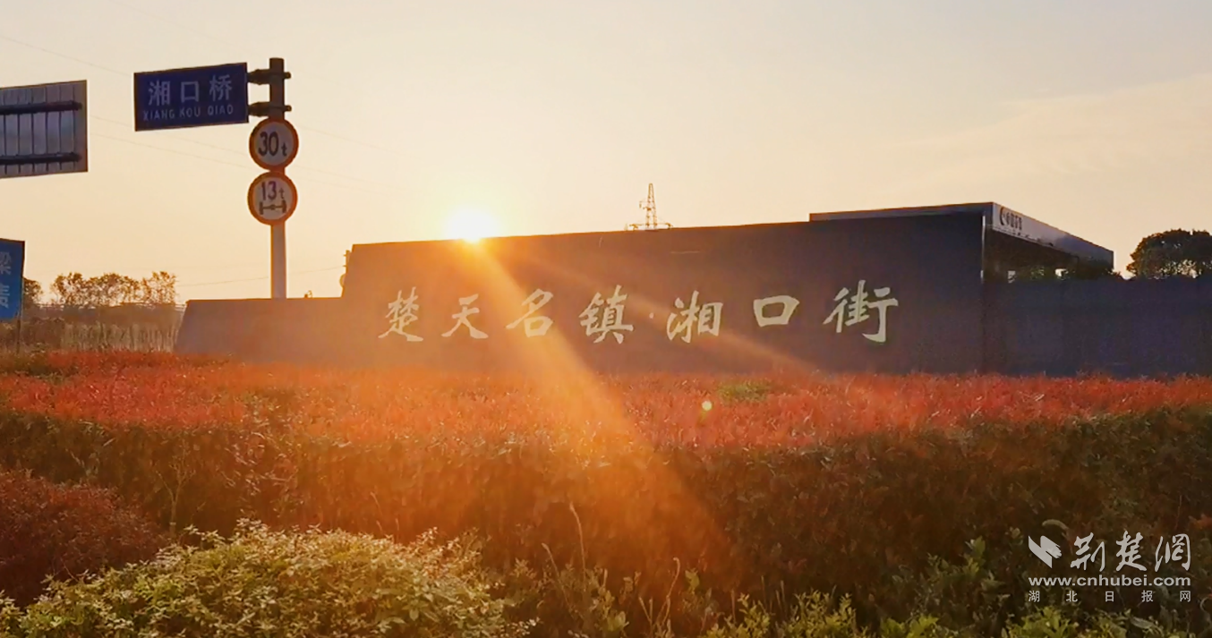 图片1.png.png