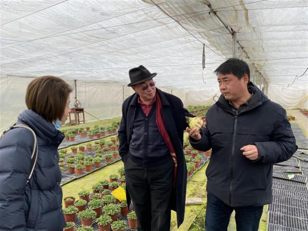 湖北特色种业技术研究院_鄂州农业信息网_种业科技成果转化