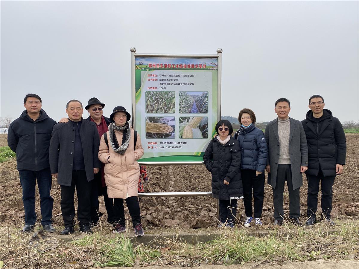 鄂州农业信息网_湖北特色种业技术研究院_种业科技成果转化