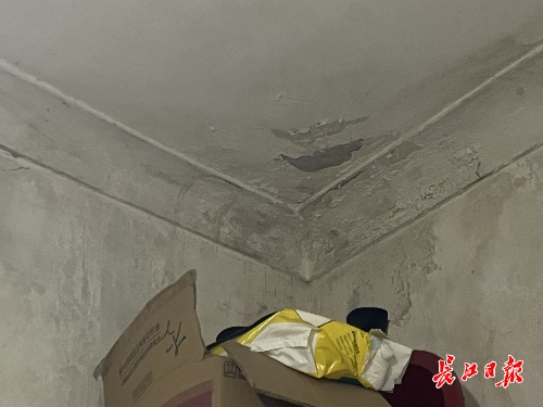 beat365官方最新版家门口有条“水路”社区多方联动帮忙维修更换雨水管困扰居民(图2)