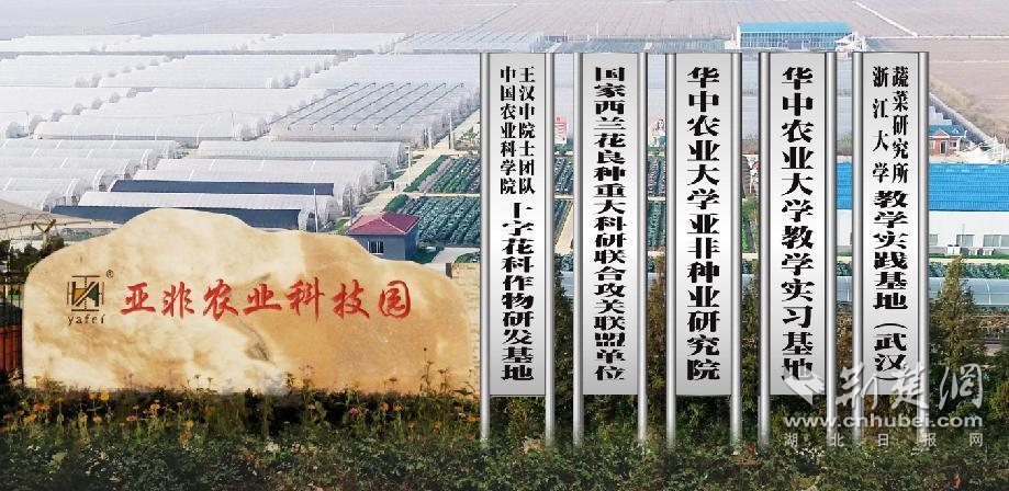 图片2.png.png