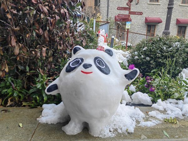 记者还发现了"雪狮子"雪小羊"雪鸭子"等多种趣味造型的雪人