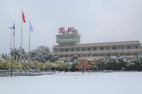 以雪为令葛化集团50余名志愿者开展服务园区扫雪除冰活动