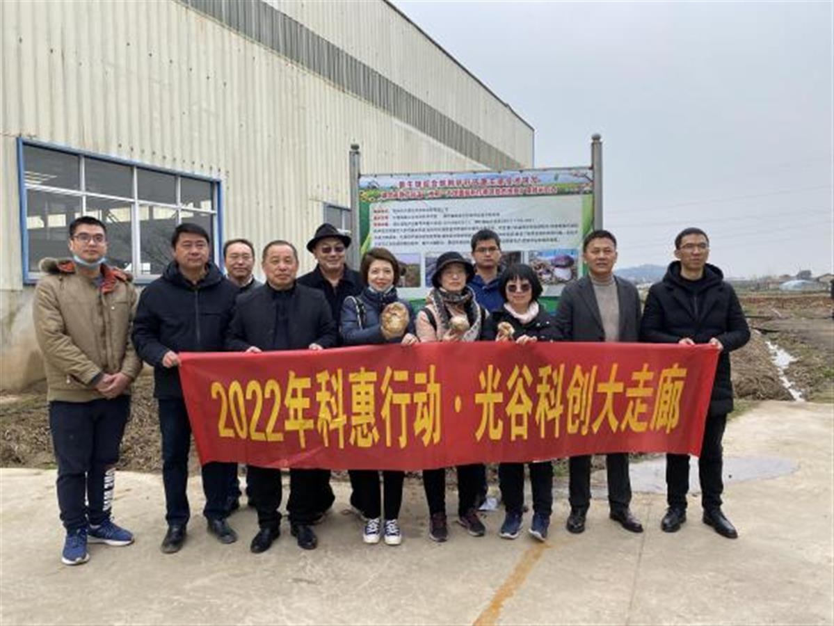 湖北省科技厅活动走进鄂州，聚焦特色种业技