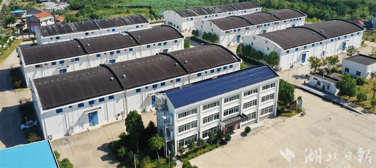 武汉将建设7个高标准地方储备粮库