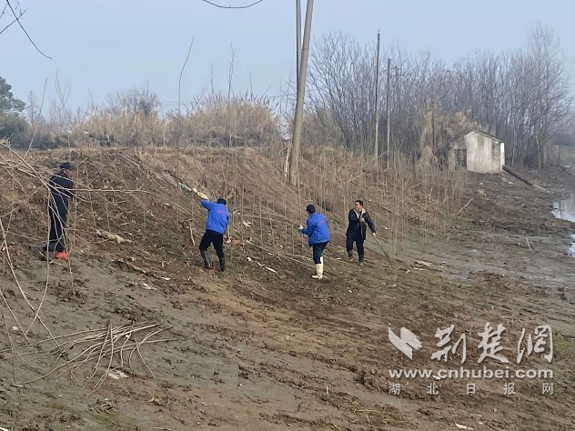 图片3.png.png