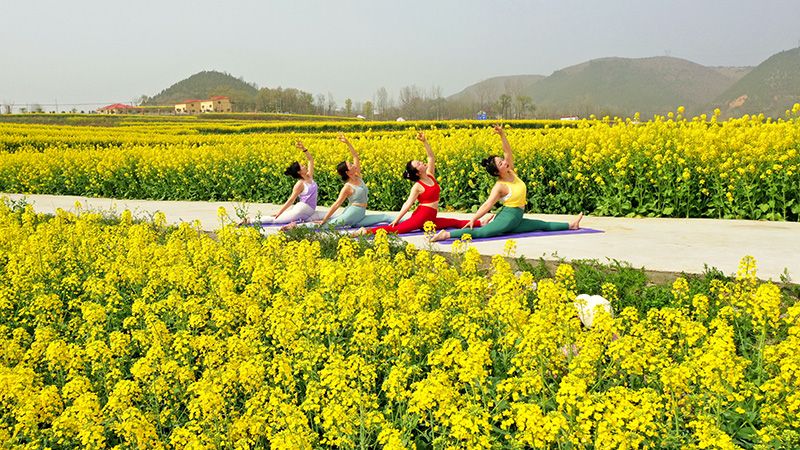 3月15日，市民在习家店油菜花地练瑜伽.jpg.jpg