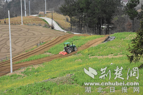 图为开展绿肥翻压（图片由十堰市局提供）.jpg