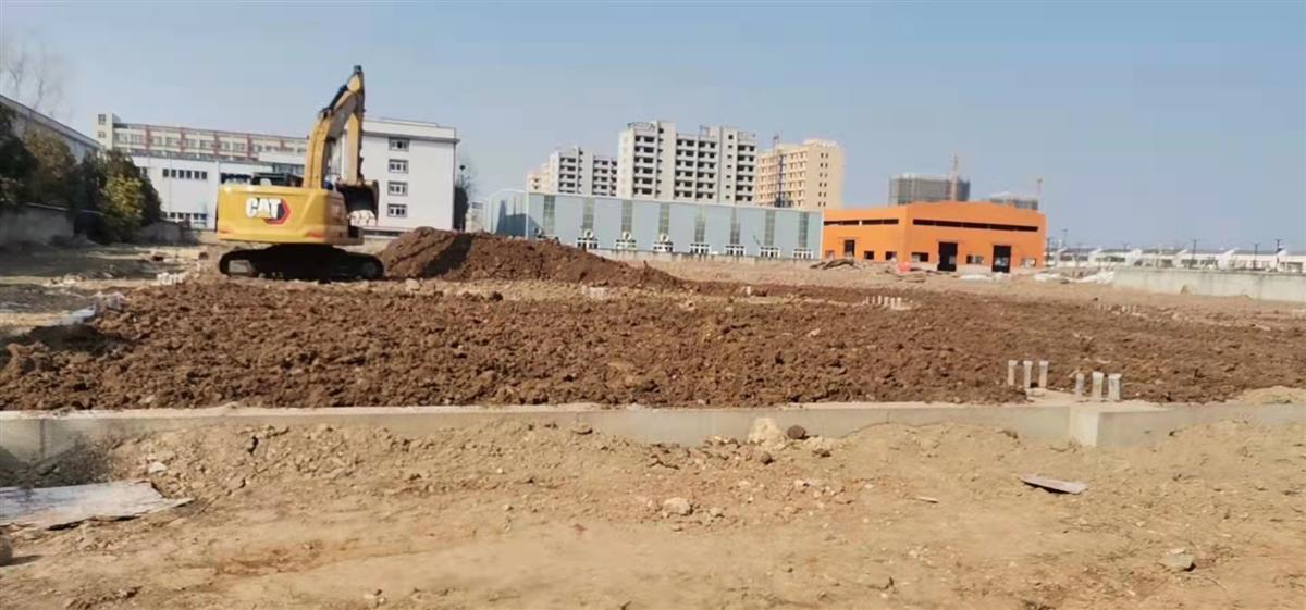 新洲双柳助力产业项目跑好“头部棒”