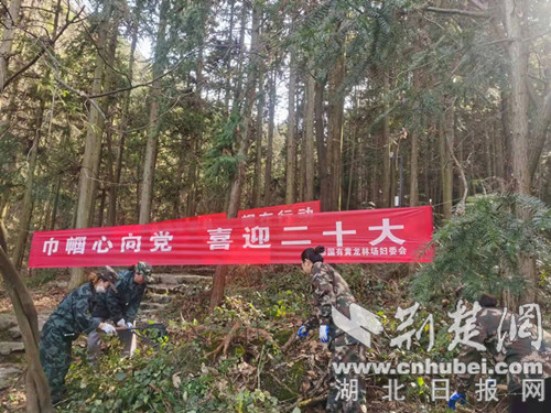 图片4.jpg