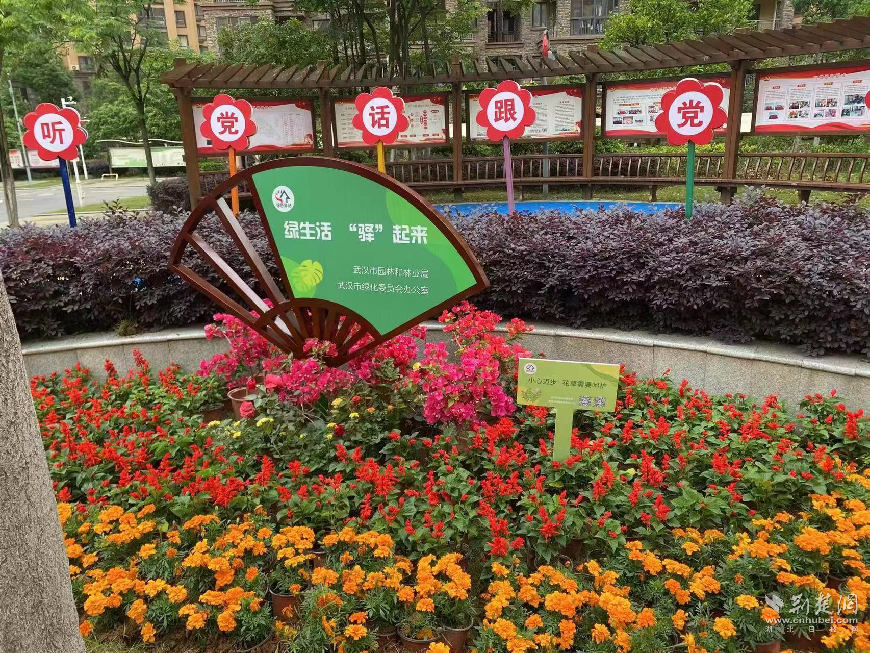 图片6.png.png