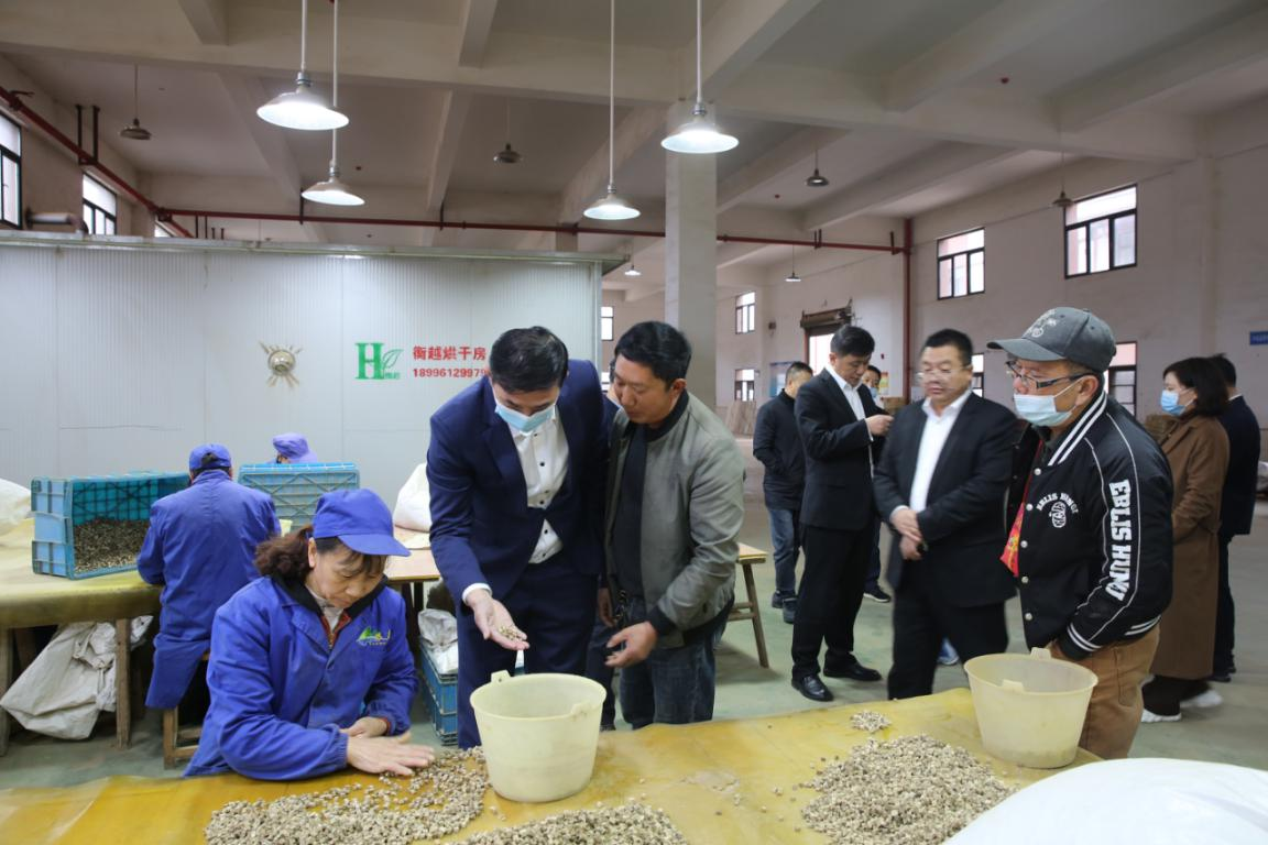 进企业考察中药材加工.png.png