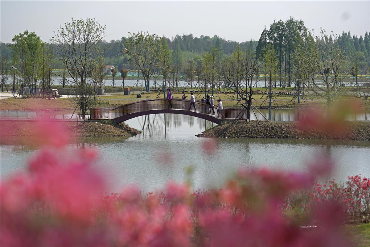 杜公湖国家湿地公园升级改造完成