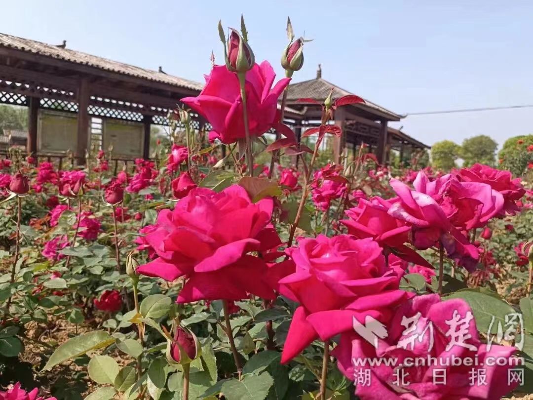 微信图片_20220505160101.jpg.jpg