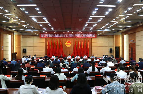 洪山区召开学习贯彻习近平总书记在庆祝中国共产主义青年团成立100周年大会上的重要讲话精神座谈会.jpg