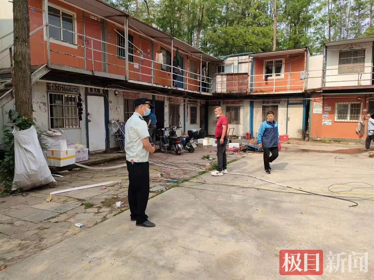 集装箱板房藏身杉树林径河城管拆除违建