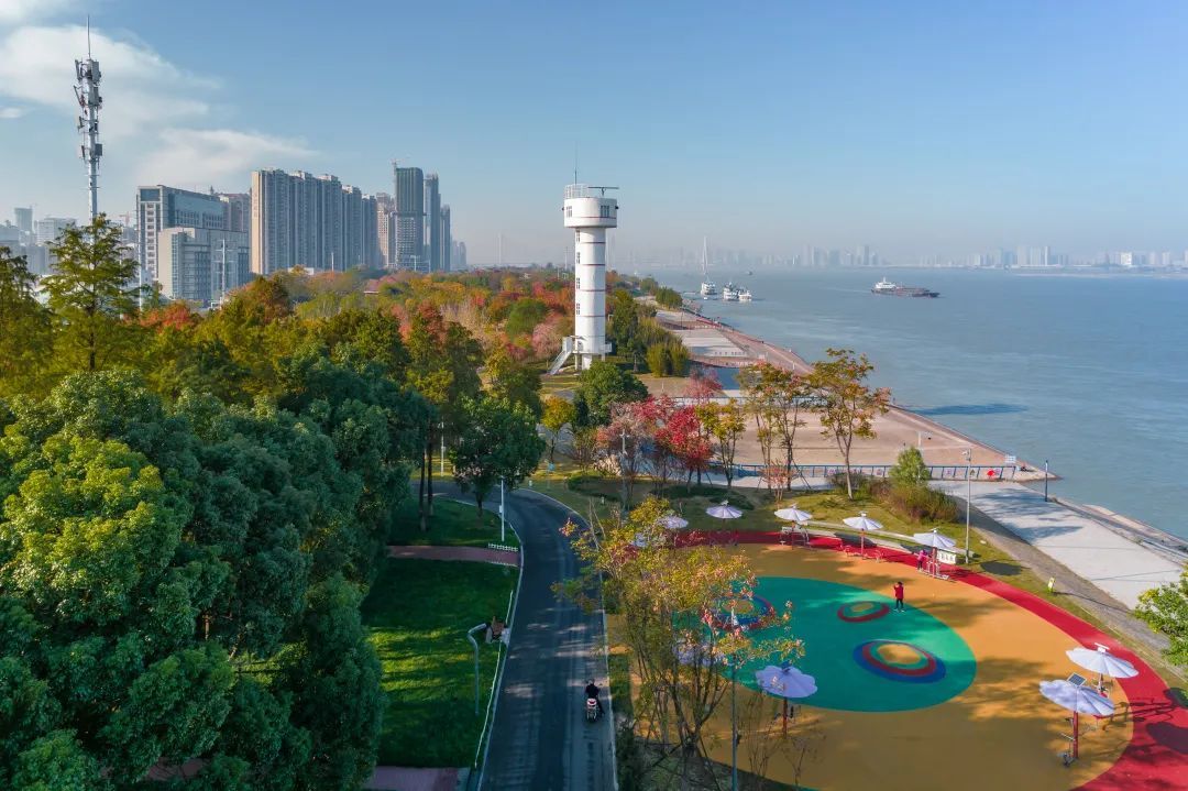 2035年的武汉啥模样?长江右岸有答案!