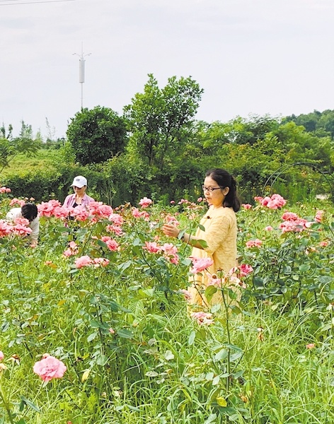 蕲春县偏远乡村种出好风景