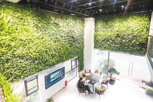 让植物像砖一样拼装上墙 神奇“垒土”助江城向空中要绿
