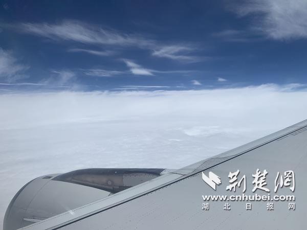 林芝3.jpg